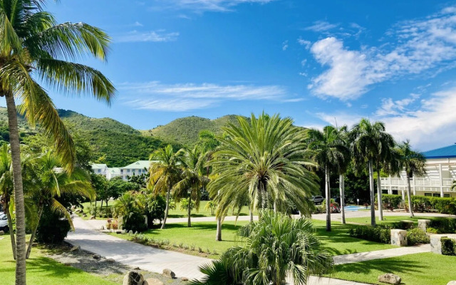 ONE Bedroom Loft Marina Anse Marcel - Saint Martin