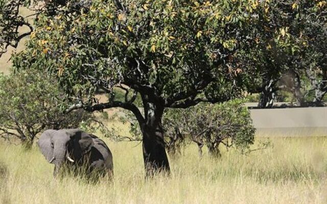 Lemala Mara Tented Camp