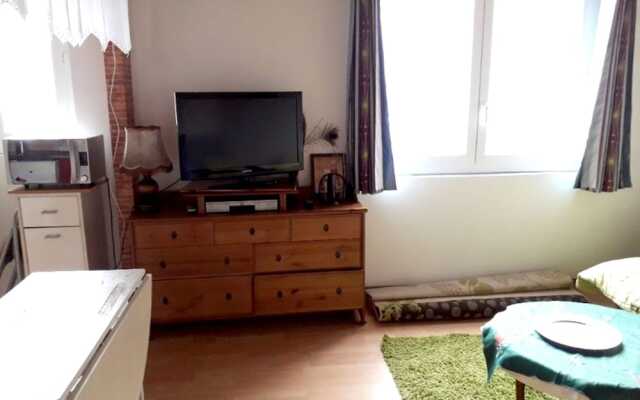 Studio in Bagnères-de-luchon, With Wonderful Mountain View - 18 km Fro