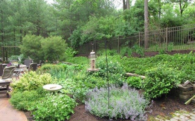 Big Hollow Bed & Breakfast