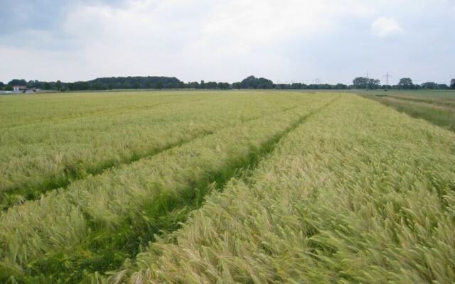 Holiday Home Haus Mewa