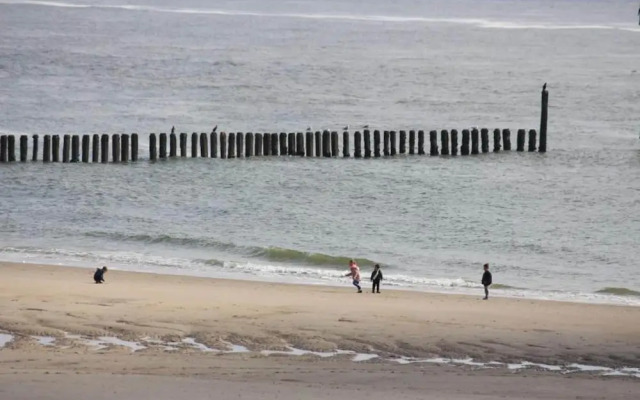 Pet-friendly Escape by the Sea