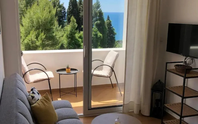 Room-deluxe Studio With Panorarmic Stud