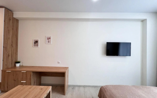 Апартаменты на улице Толстого