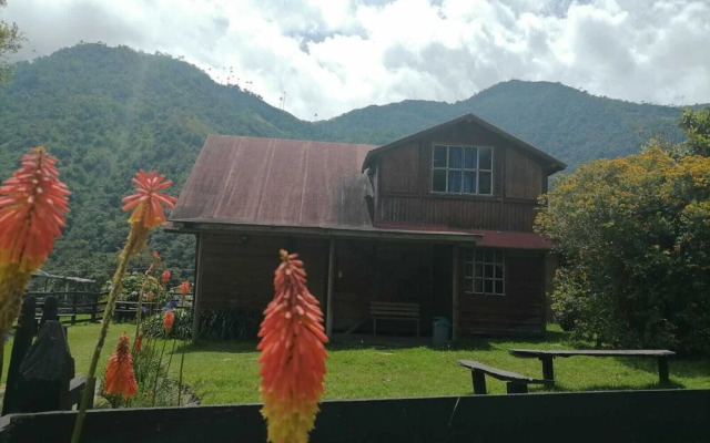 Eco Hotel las Palmas de Cocora