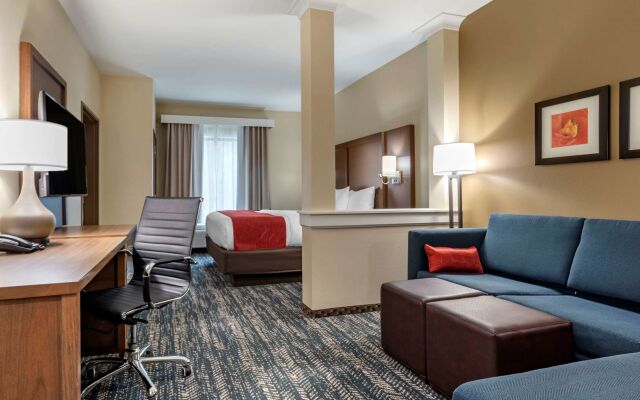 Comfort Inn & Suites Downtown near University