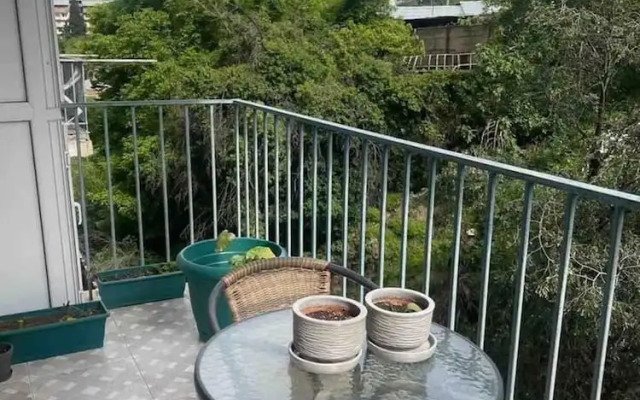 Nearby Chavchavadze ave Sunny Home With Balcony