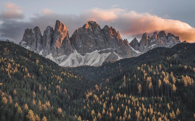 Forestis Dolomites Hotel