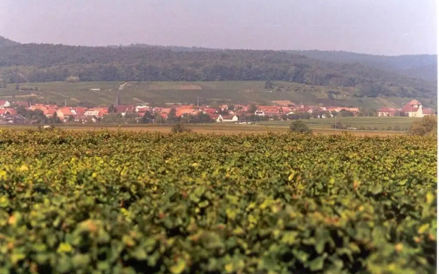 Land-gut-Hotel Schweigener Hof
