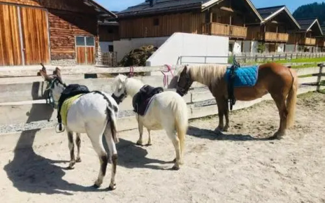 Sieglhub Hotel Apartments Chalet