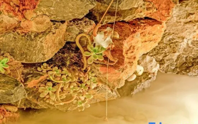 Three-time Bieyuan·star theme worry-free starry sky beauty hotel