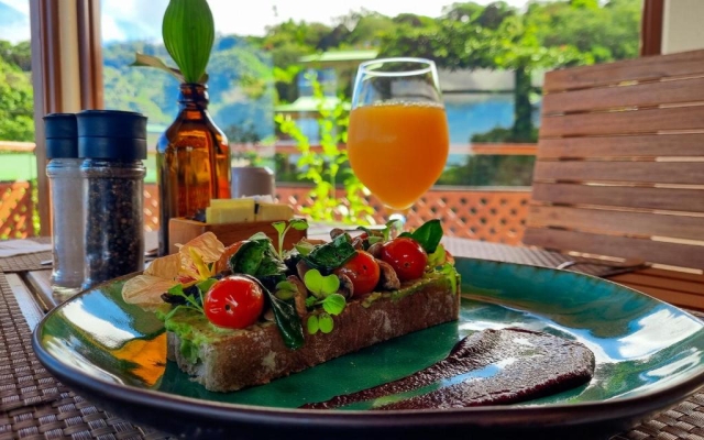 Ficus Sunset Suites