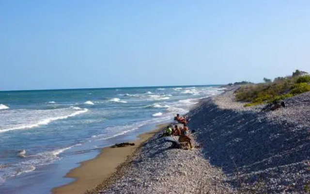 Alquileres Cap y Corp