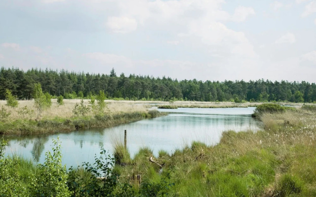 Stately, Luxury Villa With 3 Bathrooms, 2 km. From Appelscha