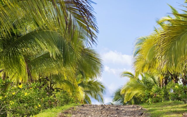 La Finca Lodge