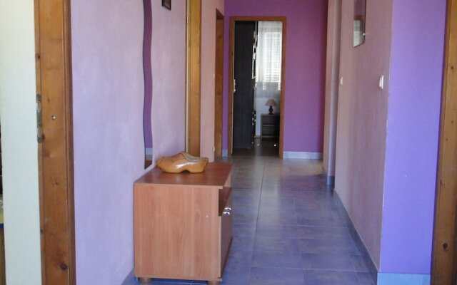 Apartments and Room Vikeli