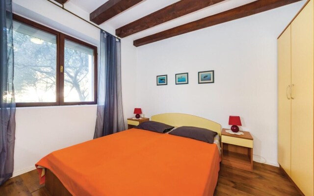 Nice Home in Bibinje With 3 Bedrooms and Wifi