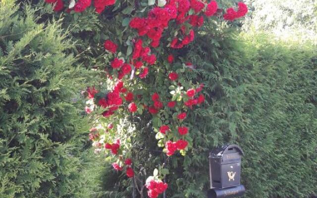 Zimmer und Apartment Rosi