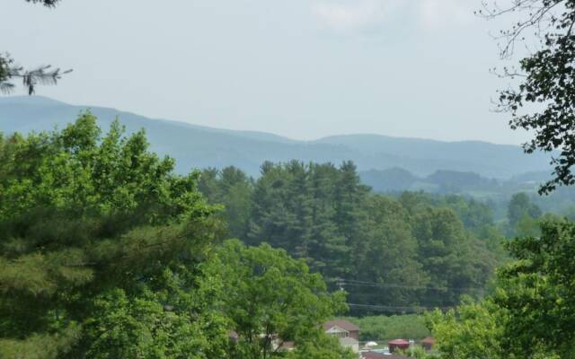 Forest Hill - 3 Br Home