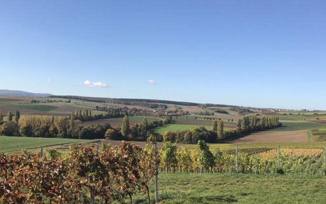 Pension und Weingut Hirschhof