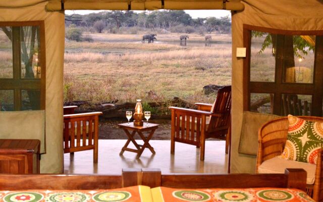 Rhino Safari Camp