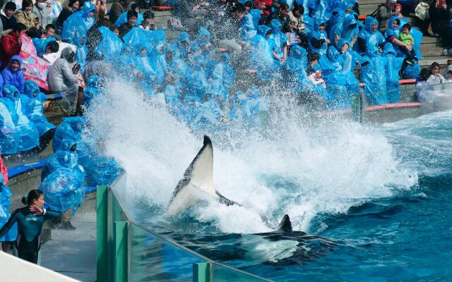 Kamogawa Sea World Hotel