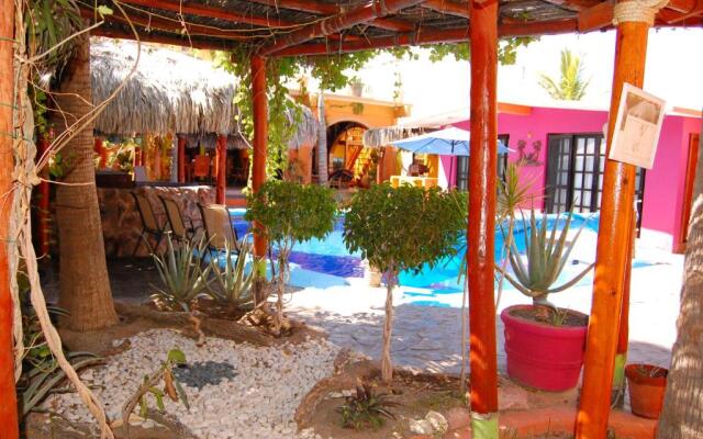 Leo's Baja Oasis