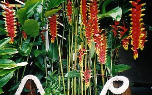 Pousada Praia da Baleia