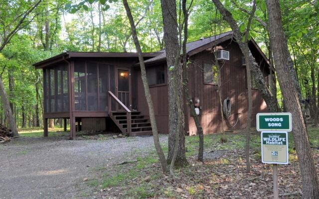 Woods Song - Natures Promise