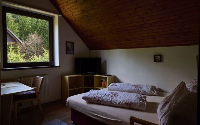 Apartment 547/3 Harrachov