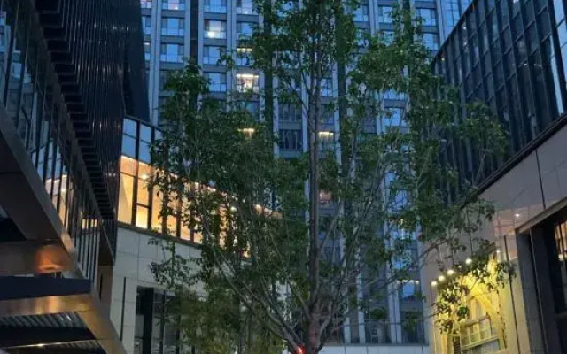 Picasso Apartment (Tianjin Nankai University)