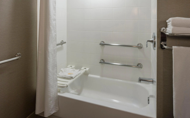 Holiday Inn New Orleans - Downtown Superdome by IHG