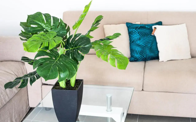 Blue Vista - 1 bedroom condo in Nettle Bay