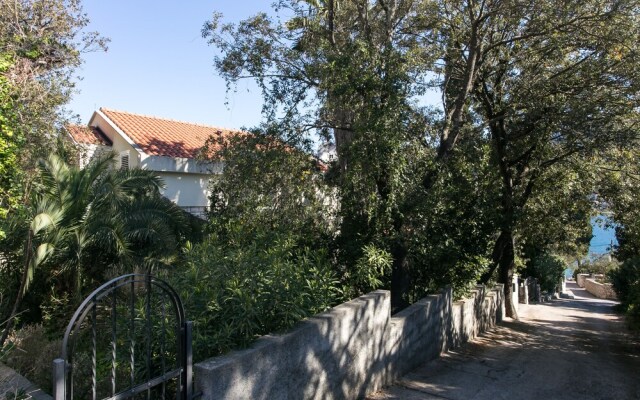 Room-the Most Beautiful Position in Zato