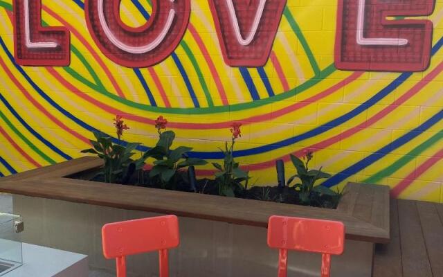 Moxy Austin - University