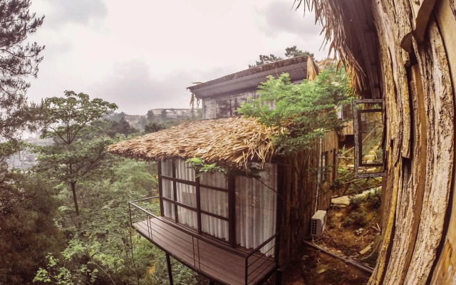 Tam Dao Star Hotel