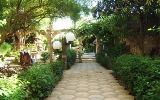 Hotel Mimosa - Hostel