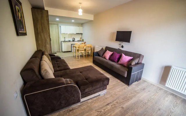 Bakuriani Plaza A317