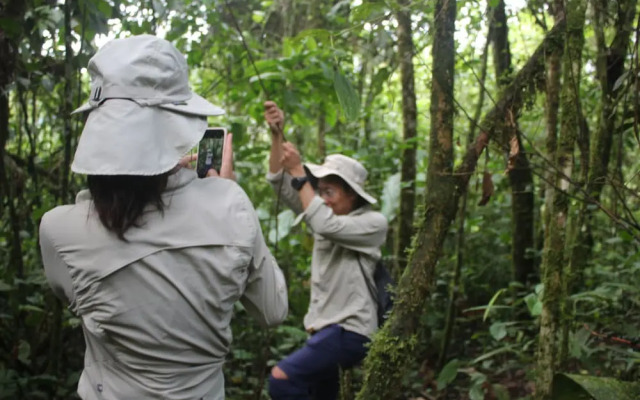 Kuyana Amazon Lodge