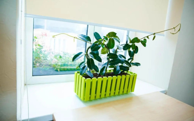 Coin Apartments & Hostel