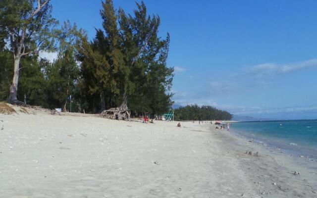 Entre cocotiers et Filaos