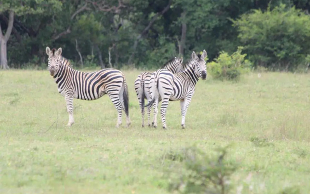 Izintaba Private Game Reserve