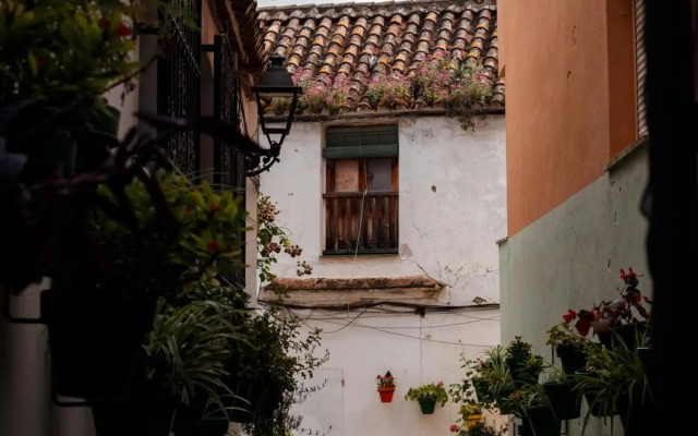 Hotel Estepona Plaza