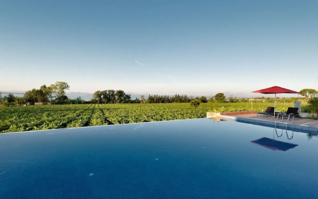 Regenta Resort Soma Vine Village