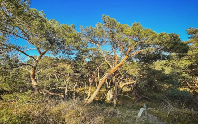 "apartment New Series 3a"