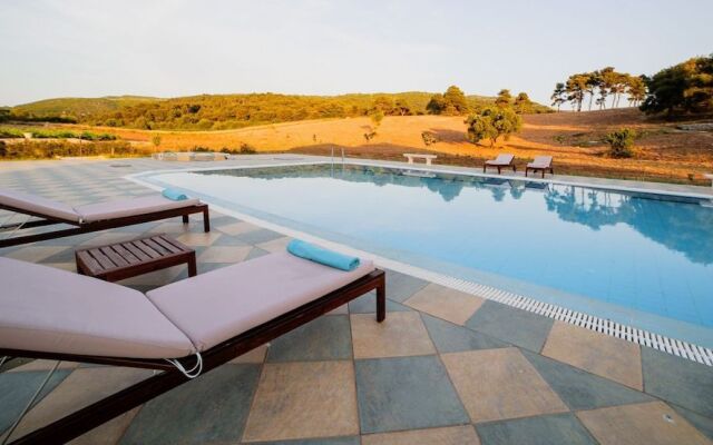 Wild Fig Retreat