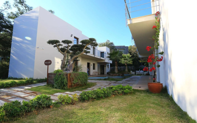 The LifeCo Bodrum Well - Being Center - Adults Only