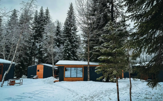 SkyWood
