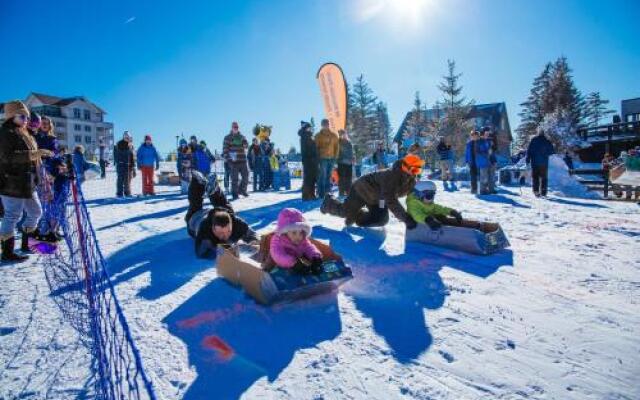 Snowshoe Condo Unit 333