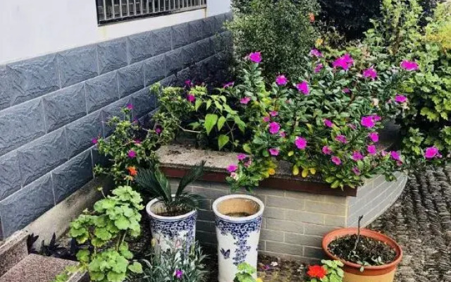 Zhaijia Courtyard